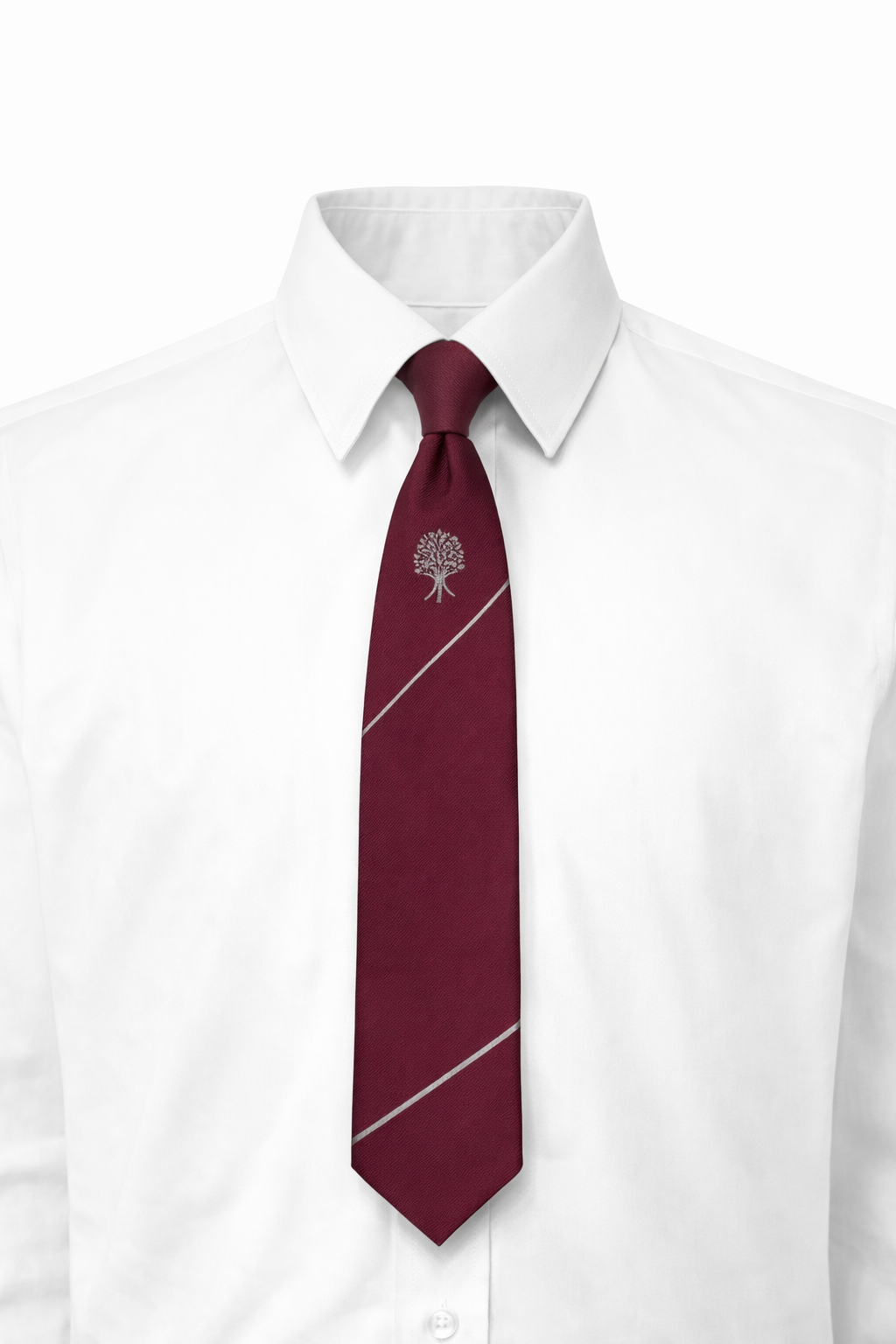 Abbey Community College 6th Year Tie