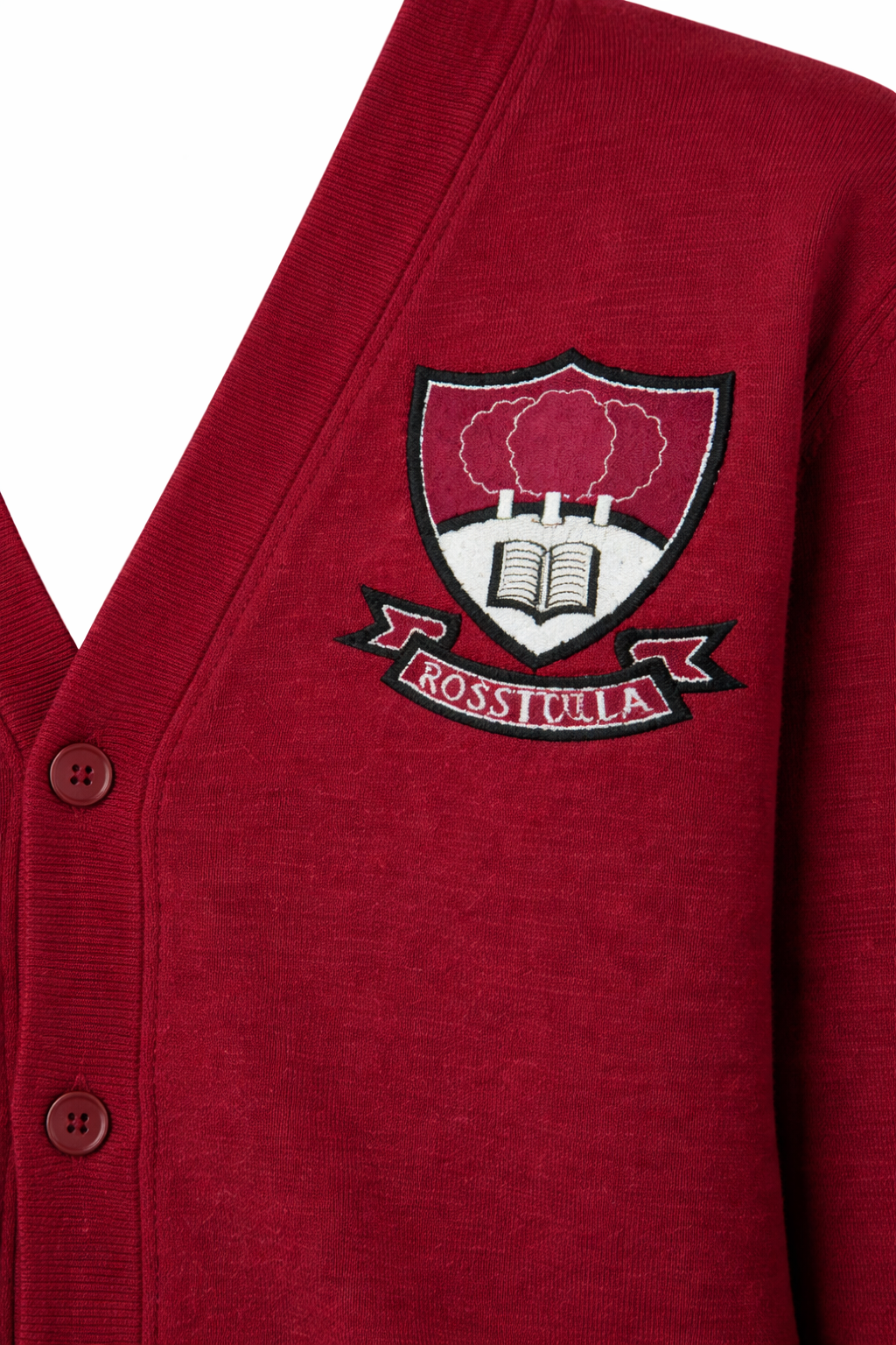 Rosstulla School Cardiagn