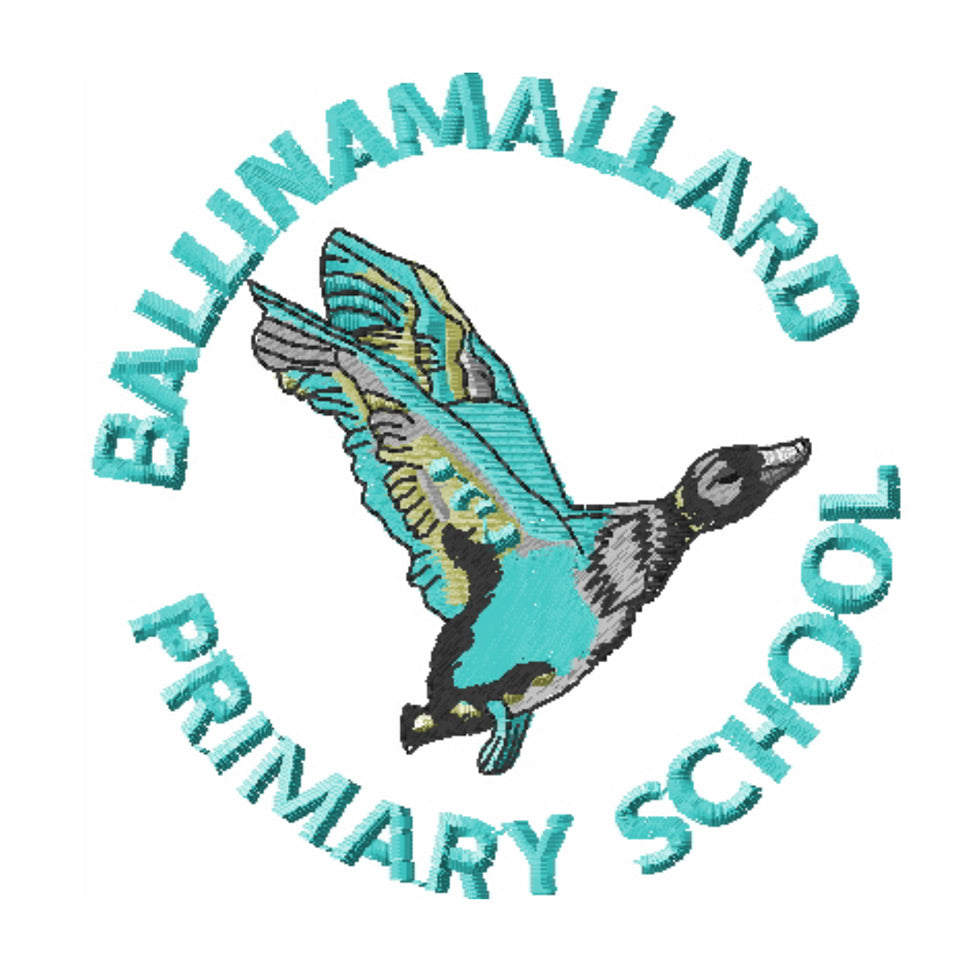 Ballinamallard Primary School
