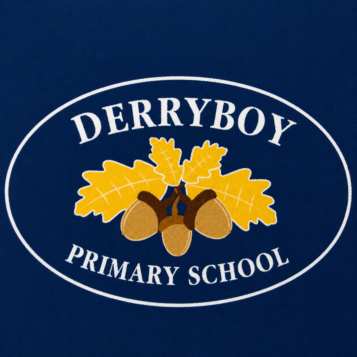 Derryboy Primary  School