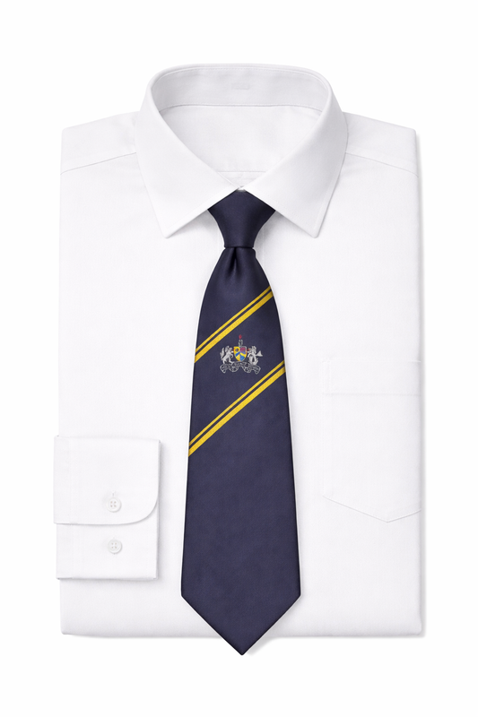 Ashfield Boys 6th Year Tie