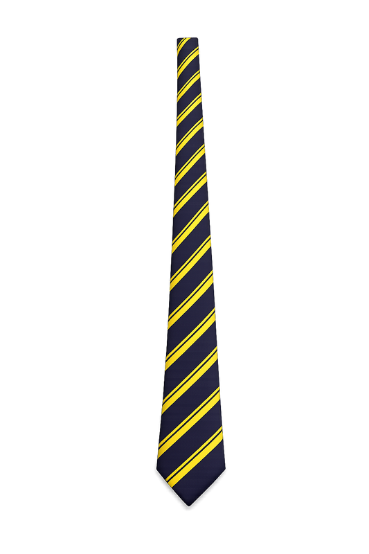 Ashfield Boys Year 1-3 Tie