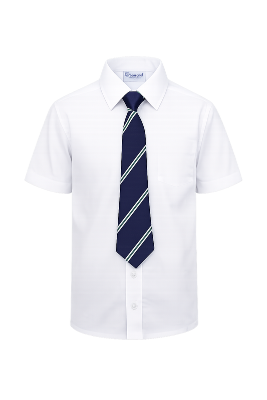 Braniel Primary School Ties