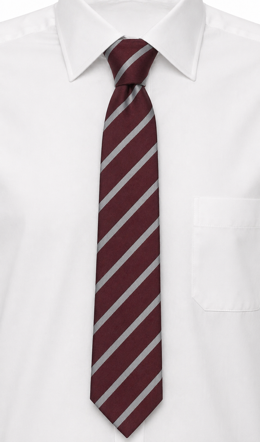 Dundonald High School Tie
