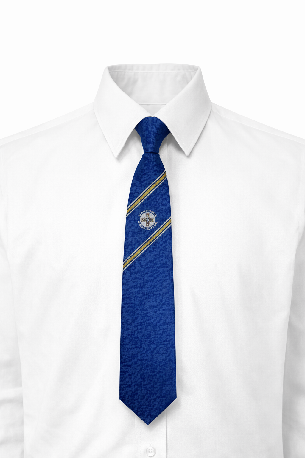 Edmund Rice College 6th Year Tie