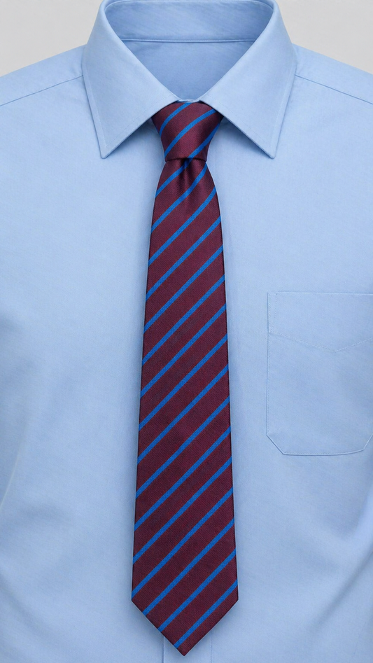 Castle Gardens Primary School Elastic Tie