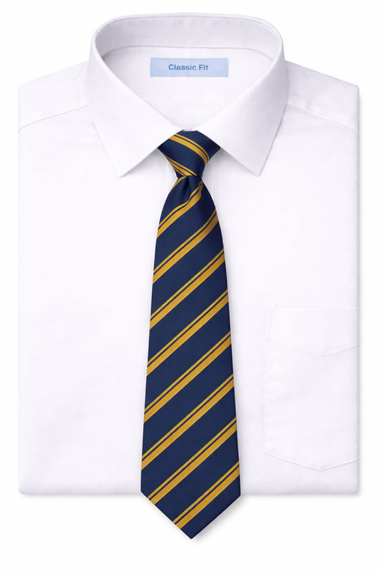 Newtownards Model Primary School Ties