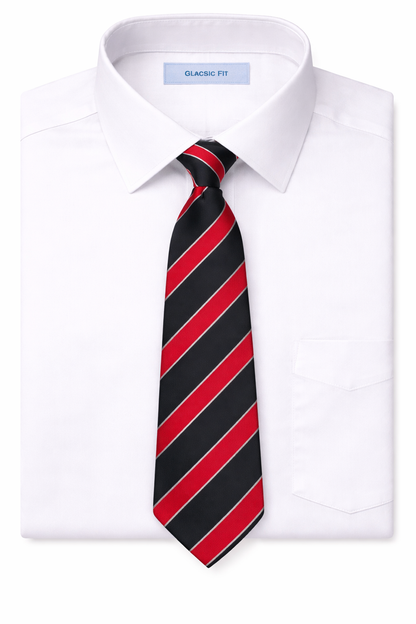 Regent House 6th Year Ties