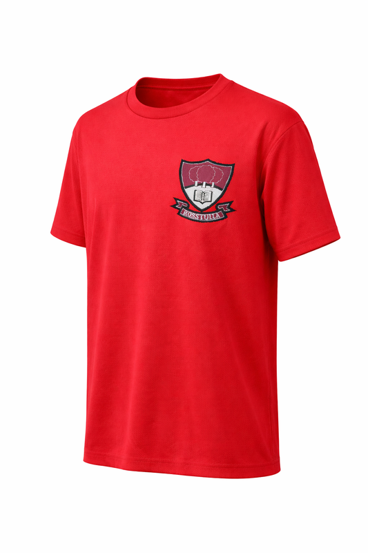 Rosstulla School P.E T-Shirt