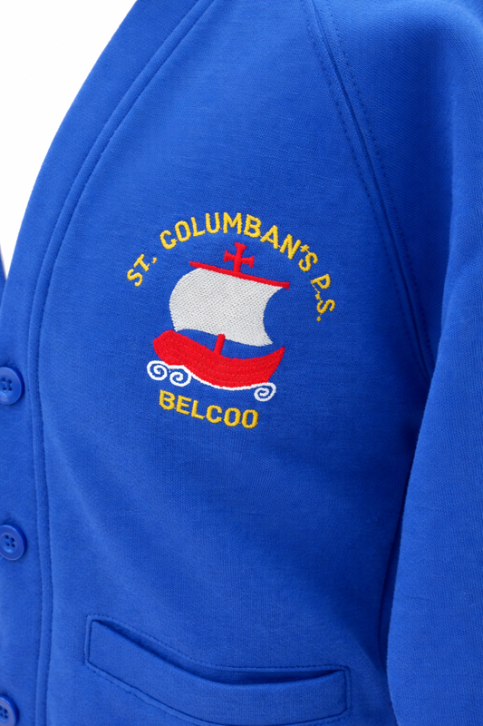 St Columban's Primary School Cardigan