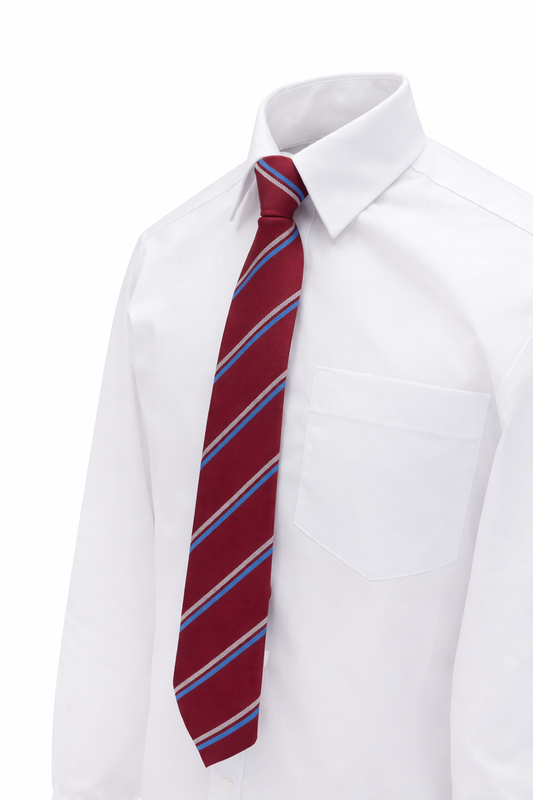 St Fancheas College Tie
