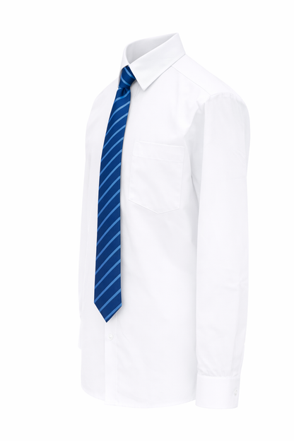 St Michaels College Tie