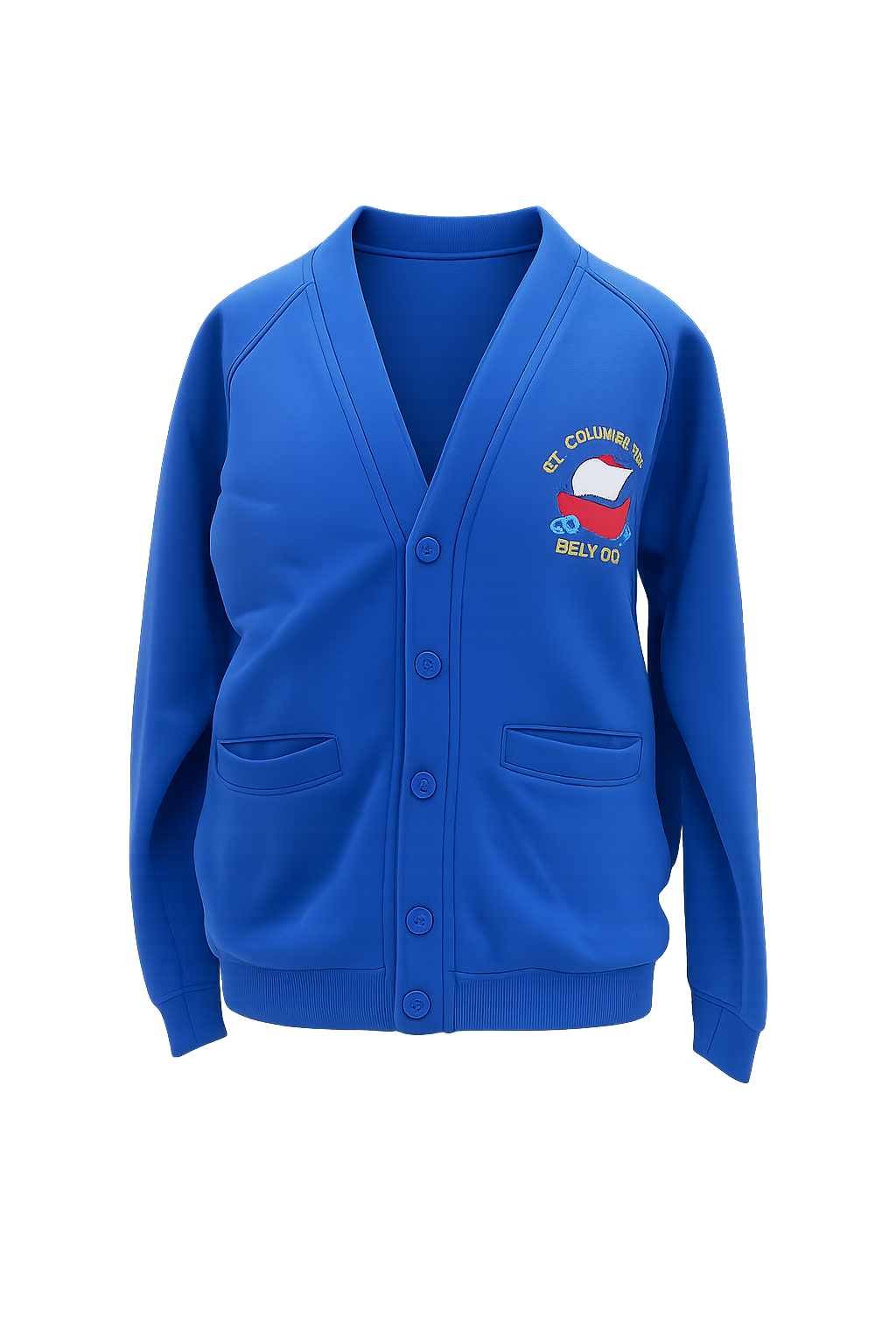 St Columban's Primary School Cardigan