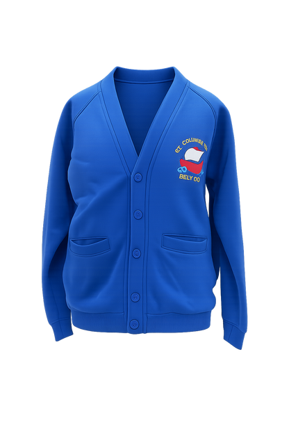 St Columban's Primary School Cardigan