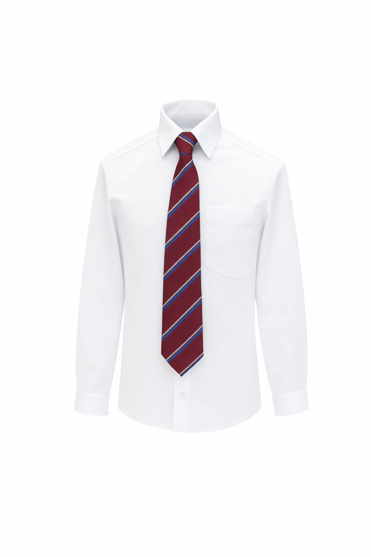 St Fancheas College Tie